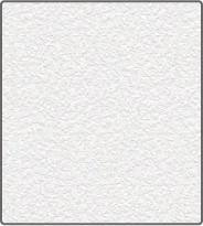 White Galvalume panel finish